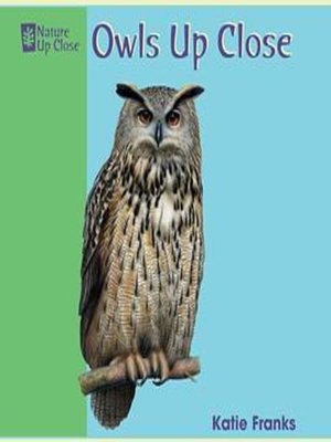 cover image of Owls Up Close